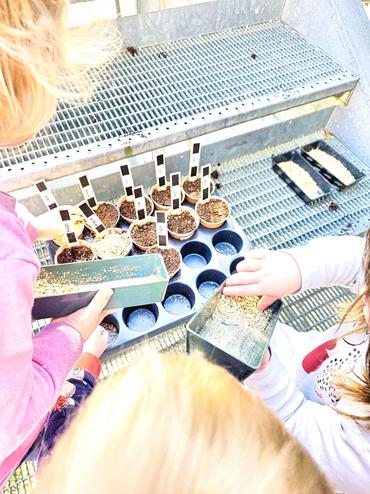 Auf diesem Bild sieht man die Osteraktion.