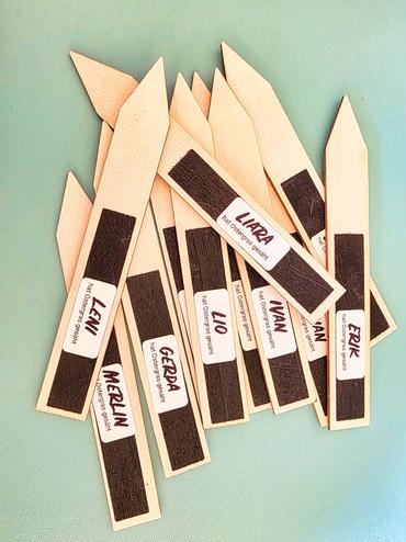 Auf diesem Bild sieht man die Osteraktion.