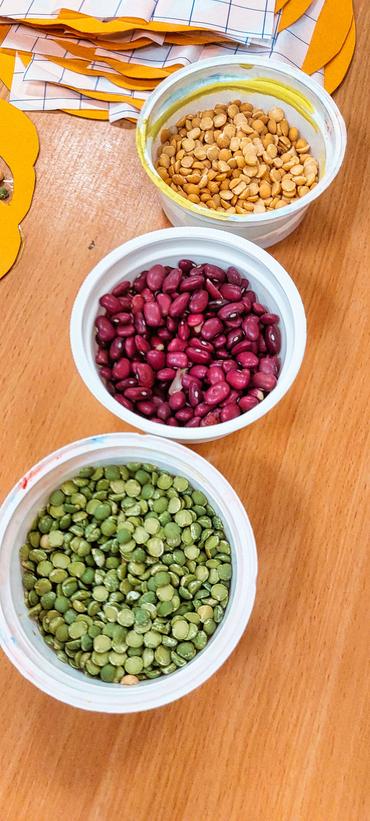 Auf diesem Bild sind die Zutaten zu sehen.