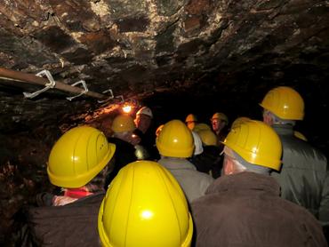 IMG 0813 image-55198