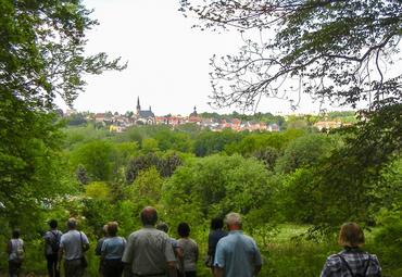 DSCN2677 3 image-65199