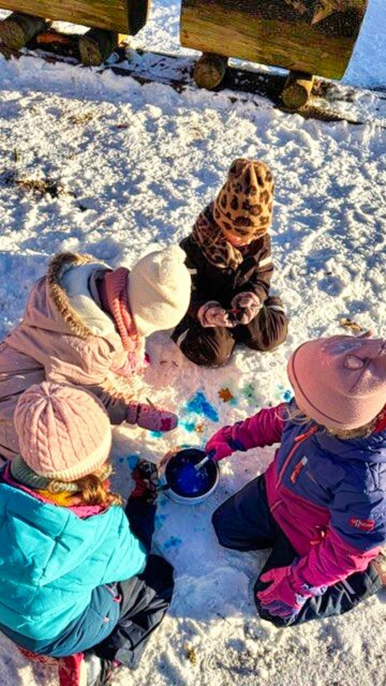 Auf dem Bild sieht man, wie Kinder im Schnee spielen.