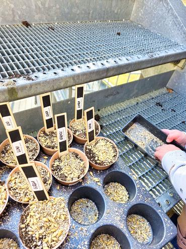 Auf diesem Bild sieht man die Osteraktion.