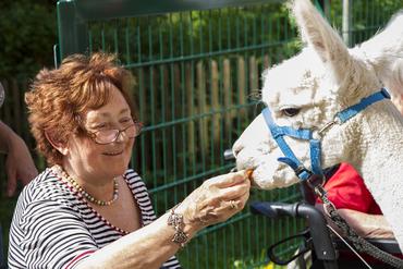 IMG 1731 ps 2012 web image-49911