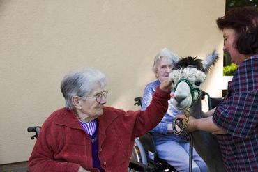 IMG 1682 ps 2012 web image-49906