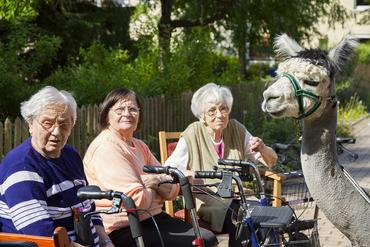 IMG 1699 ps 2012 web image-49908