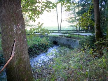 unter der Brücke Kleinolbersdorf Ferdinandstraße-Abzweig Altenhain image-65087