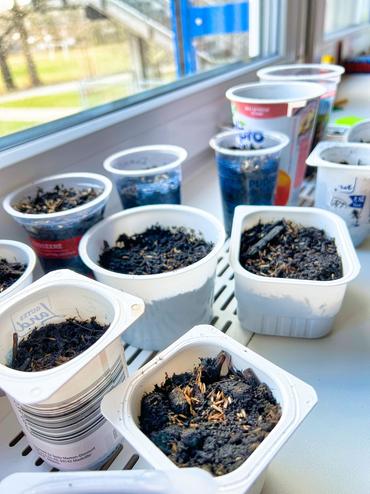 Auf diesem Bild sieht man die Ostervorbereitungen