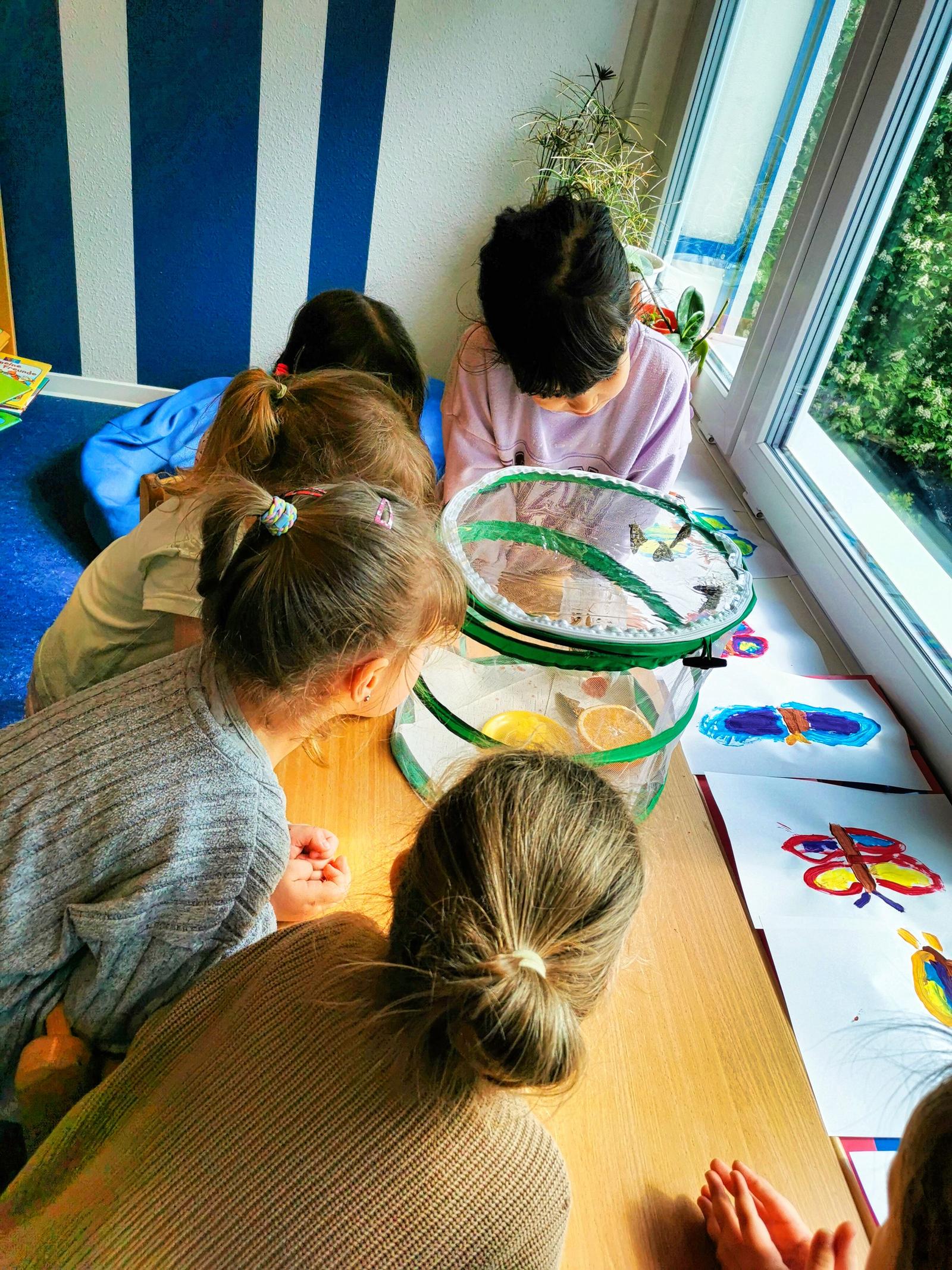 Auf dem Bild sin 4 Kinder zu sehen die den Raupen bei der Entwicklung zusehen.