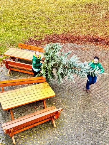 Auf diesem Bild sieht man, wie unser schöner Weihnachtsbaum zu uns geschafft wird.