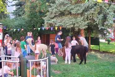 Auf dem Bild sind die Alpaks zu sehen.