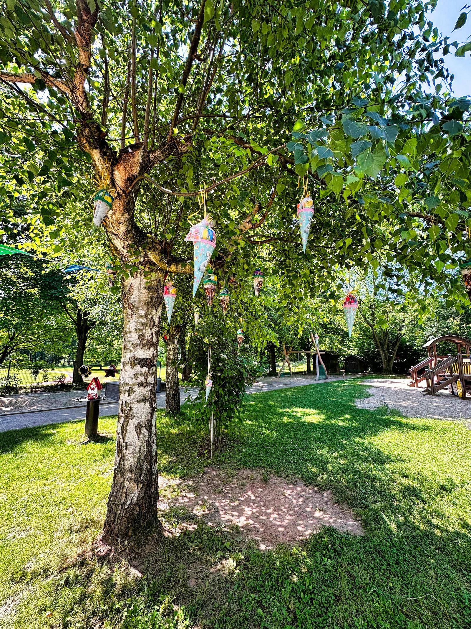 Auf diesem Bild sieht man einen Baum geschmückt mit Zuckertüten.