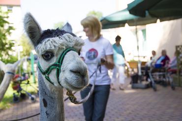 IMG 1667 ps 2012 web image-49903