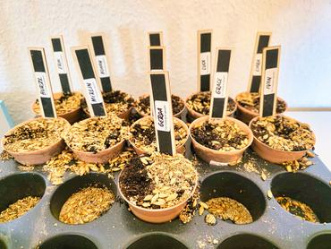 Auf diesem Bild sieht man die Osteraktion.