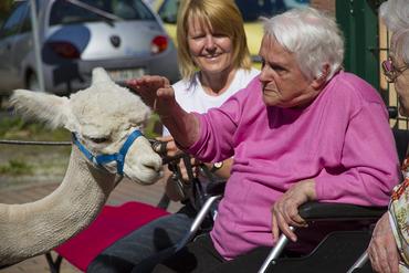 IMG 1662 ps 2012 web image-49902