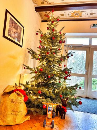 Auf diesem Bild sieht man unseren schönen Weihnachtsbaum.
