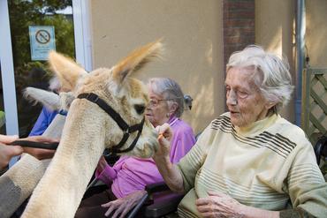 IMG 1743 ps 2012 web image-49912