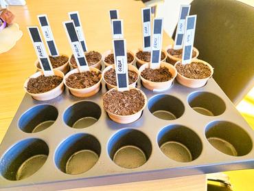 Auf diesem Bild sieht man die Osteraktion.